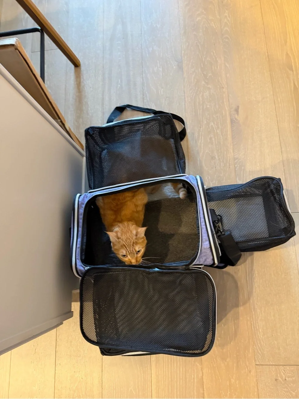 Portable Black Cat Carrier Soft-Sided Pet Travel Bag
